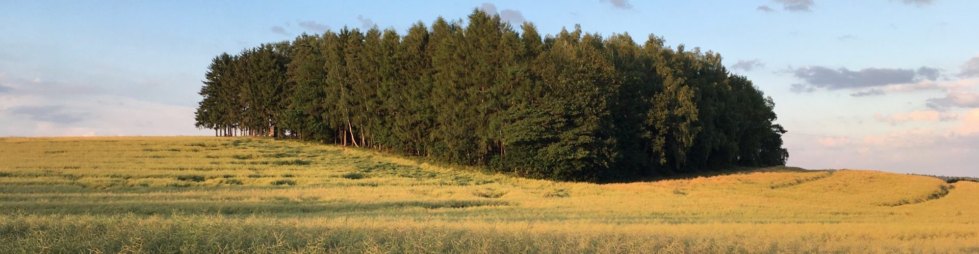 Blick aufs Hölzla in Gundlitz