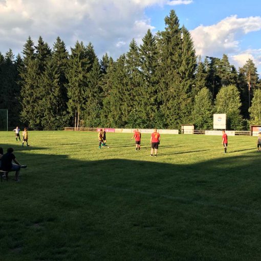 Gauditurnier Cottenau 2017