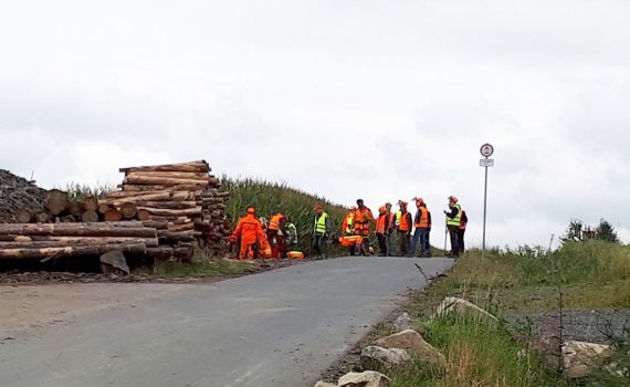 Drückjagd im Maisfeld