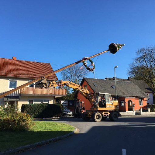 Maibaum wird eingelegt