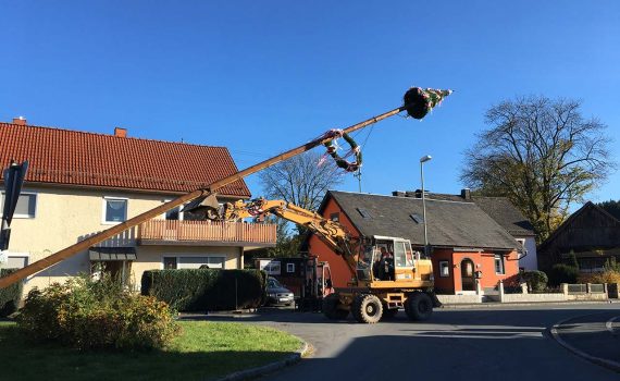 Maibaum wird eingelegt