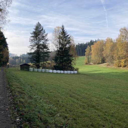 Blick auf die Kläranlage im Herrnschrot, Man sieht die kleine Hütte und einzelne große Bäume daneben. Davor sind große Rundballen aufgereiht.
