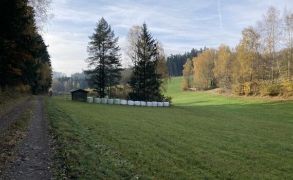 Blick auf die Kläranlage im Herrnschrot, Man sieht die kleine Hütte und einzelne große Bäume daneben. Davor sind große Rundballen aufgereiht.